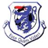 home team logo