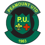 home team logo