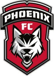 home team logo