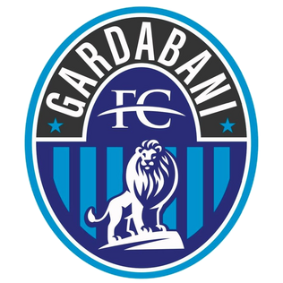 home team logo