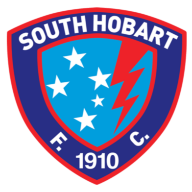 home team logo
