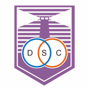 home team logo