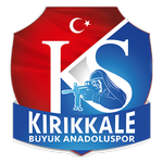 home team logo