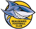 away team logo