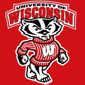 home team logo
