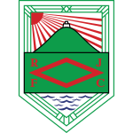 home team logo