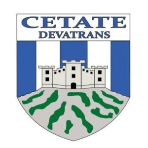home team logo