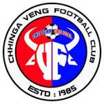 home team logo