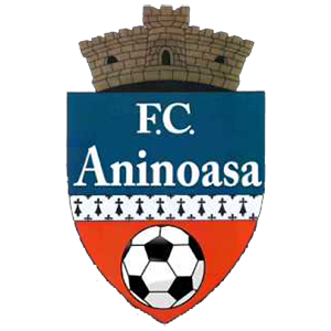 home team logo
