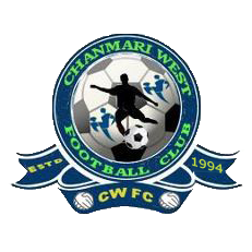 home team logo
