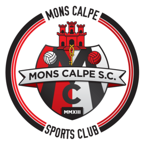 home team logo