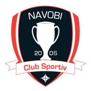 home team logo