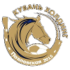 home team logo