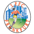 home team logo