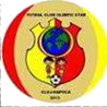 home team logo
