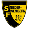 home team logo