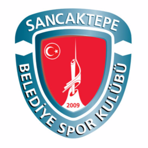 home team logo