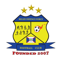home team logo