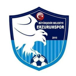home team logo