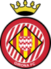 home team logo