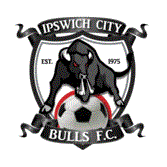 home team logo