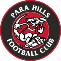 home team logo