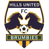 home team logo