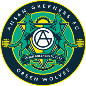 home team logo