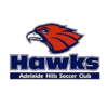 home team logo