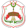 home team logo