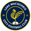 home team logo