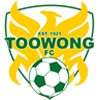 home team logo