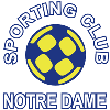 home team logo