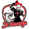 away team logo