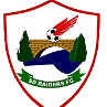 home team logo