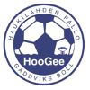 home team logo