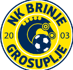 home team logo