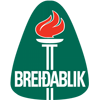 home team logo