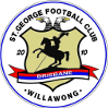 home team logo