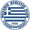 home team logo