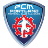 home team logo