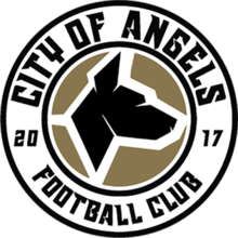 away team logo