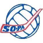 home team logo