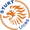 home team logo