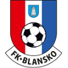 home team logo