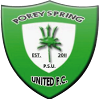 home team logo