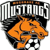 home team logo