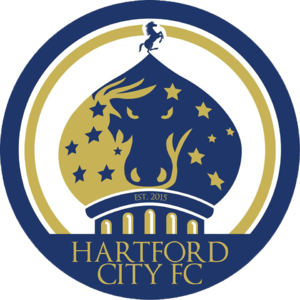 home team logo
