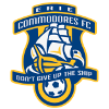 home team logo