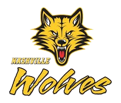 home team logo